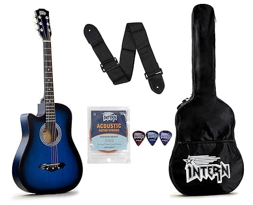 Intern Left Hand Acoustic Guitar Kit, With Bag, Strings, Pick And Strap